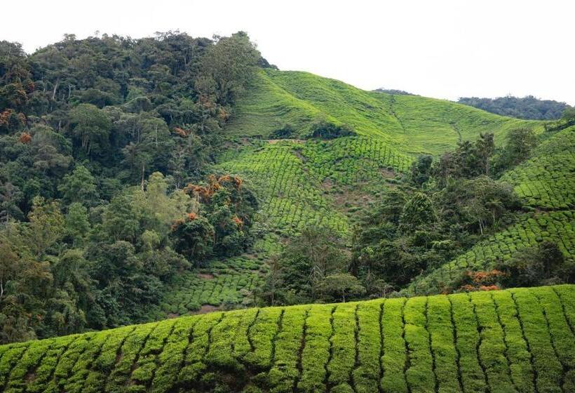 Pensiune A3a Oastel Coliving