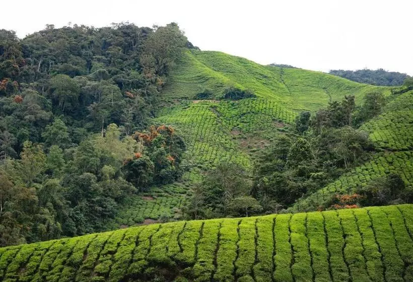 Majatalo A3a Oastel Coliving