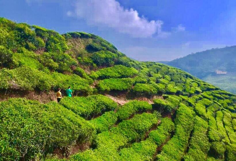 Pensiune A3a Oastel Coliving