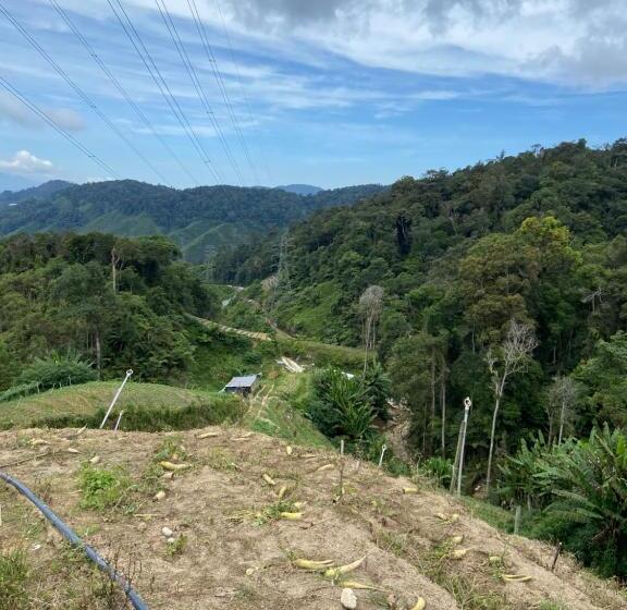 Pensiune A3a Oastel Coliving