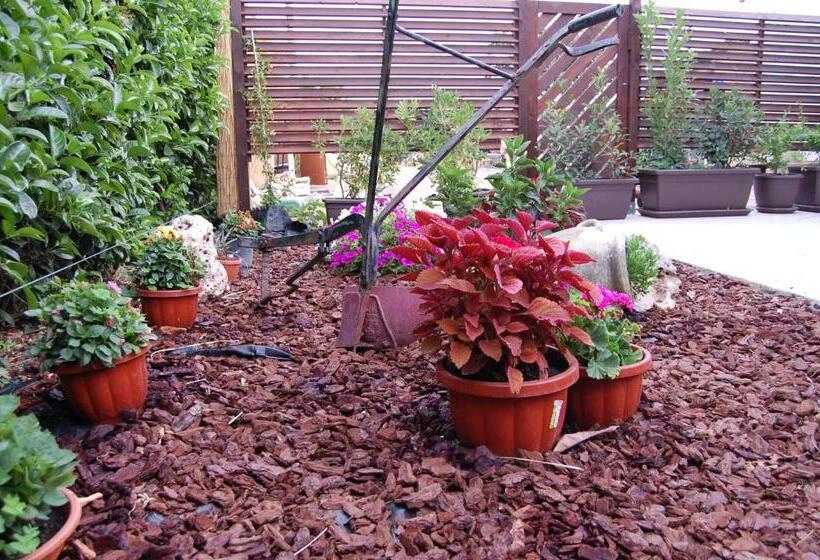 פנסיון B&b Latorraca