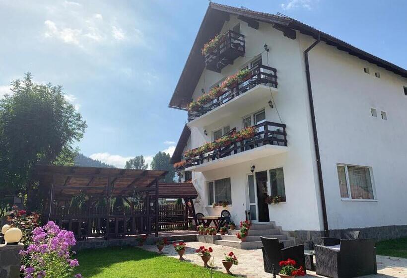 پانسیون Căsuța De Lângă Izvor