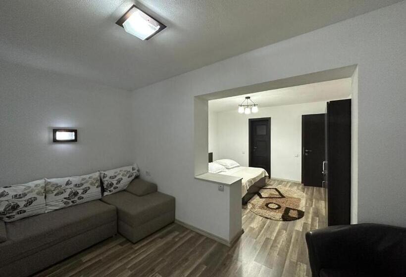 پانسیون Căsuța De Lângă Izvor