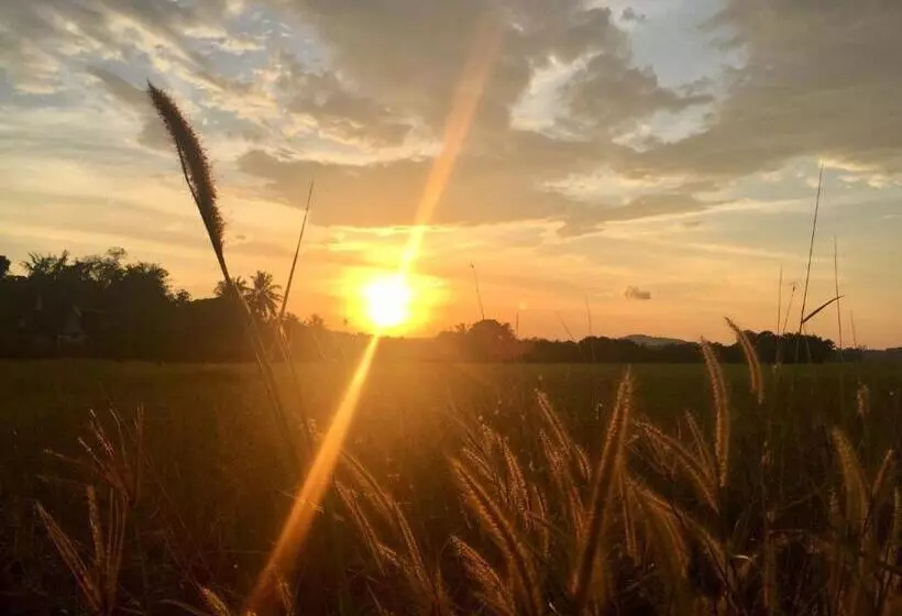 ペンション Kawah Padi Garden Villa Langkawi
