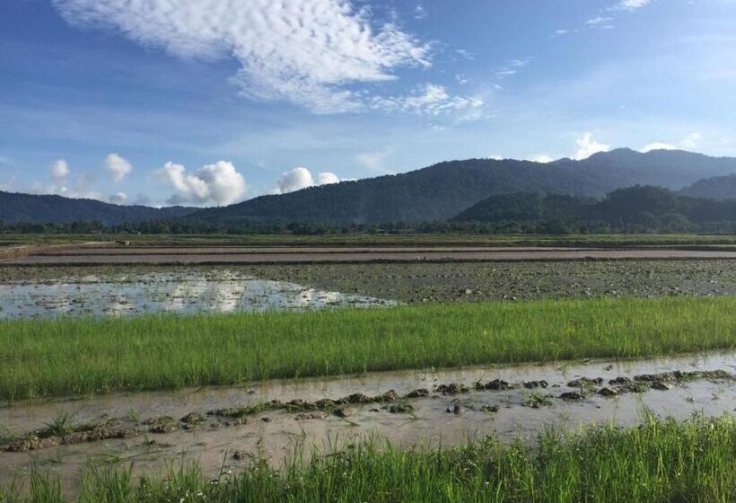 بنسيون Kawah Padi Garden Villa Langkawi