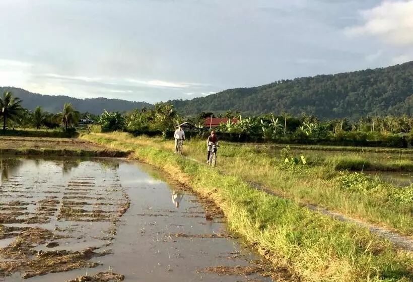ペンション Kawah Padi Garden Villa Langkawi