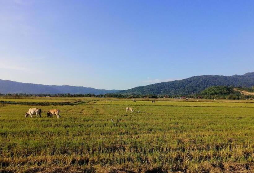 بنسيون Kawah Padi Garden Villa Langkawi