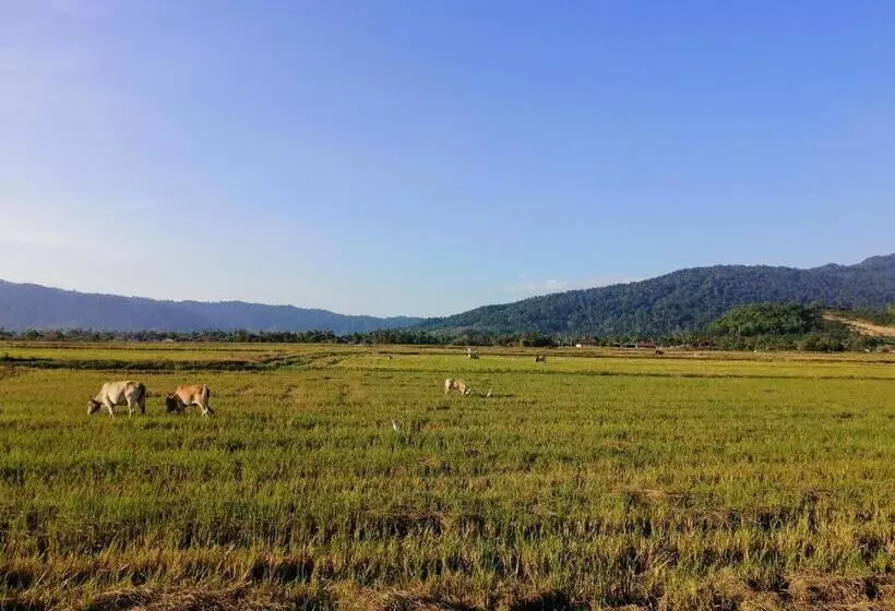 ペンション Kawah Padi Garden Villa Langkawi