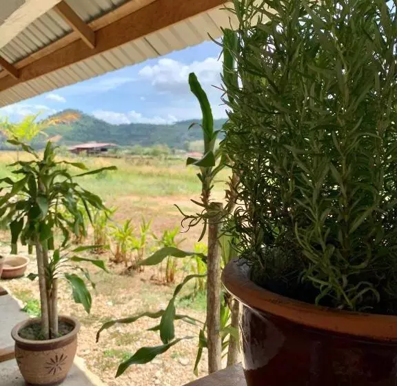 ペンション Kawah Padi Garden Villa Langkawi