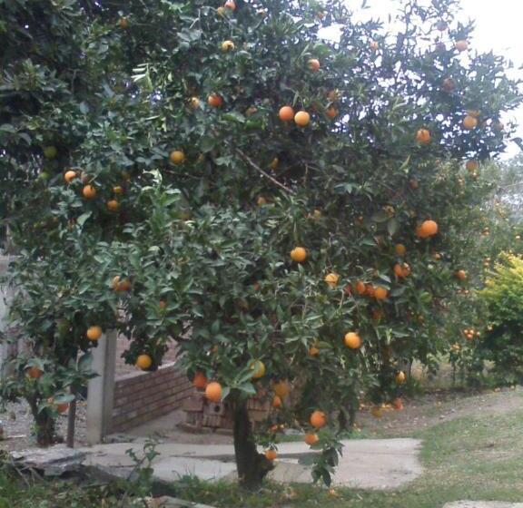 Общежитие Terrazas Del Wayra