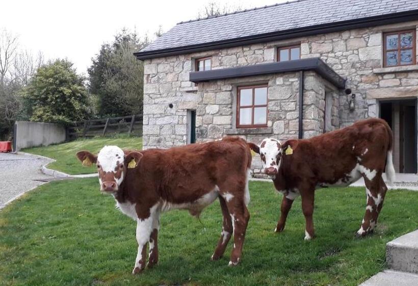 Green Adventure Ecohostel