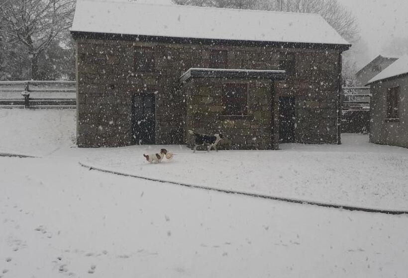 Green Adventure Ecohostel