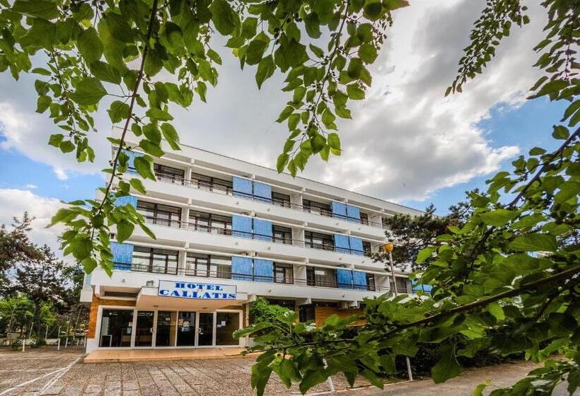 호텔 Callatis
