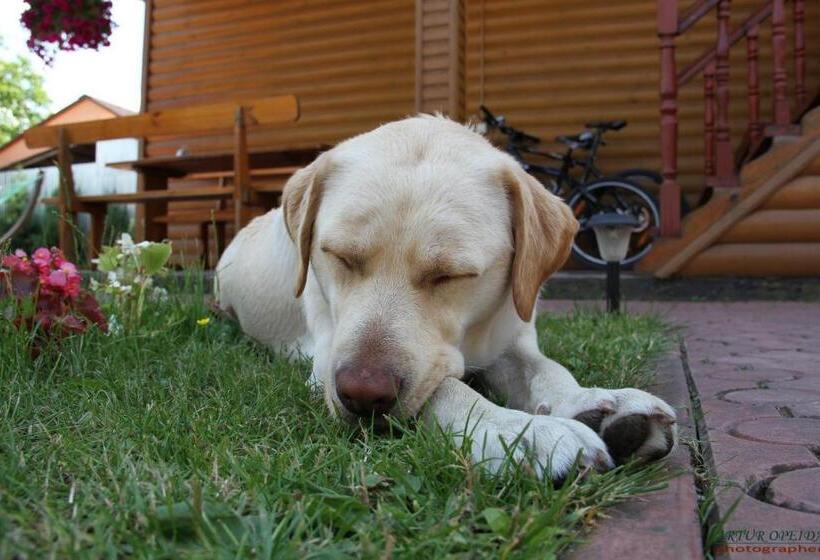 Отель Complex Mizh Triokh Ozer