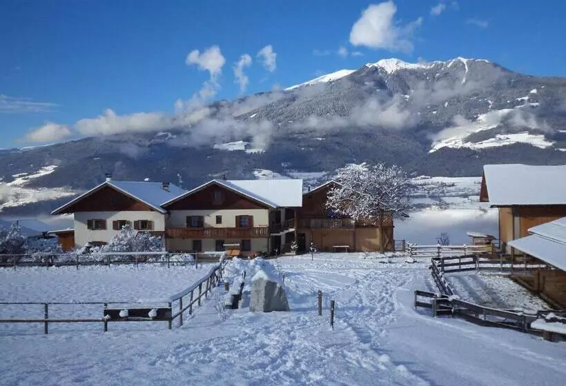 Hotelli Widmannhof