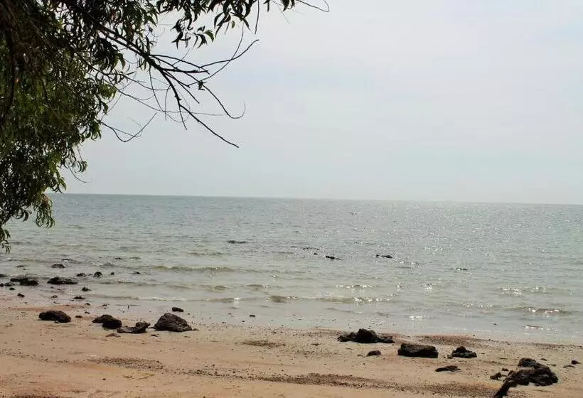 Ocean View Resort