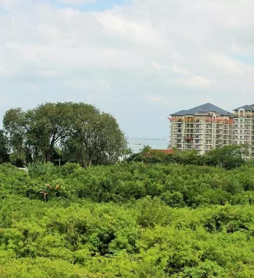 Ocean View Resort