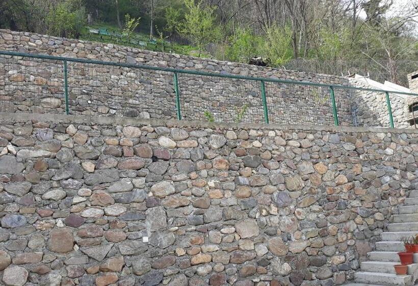 Пансион Casa Papava