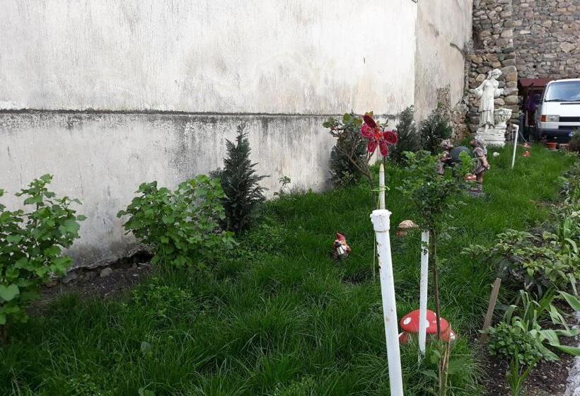 Пансион Casa Papava