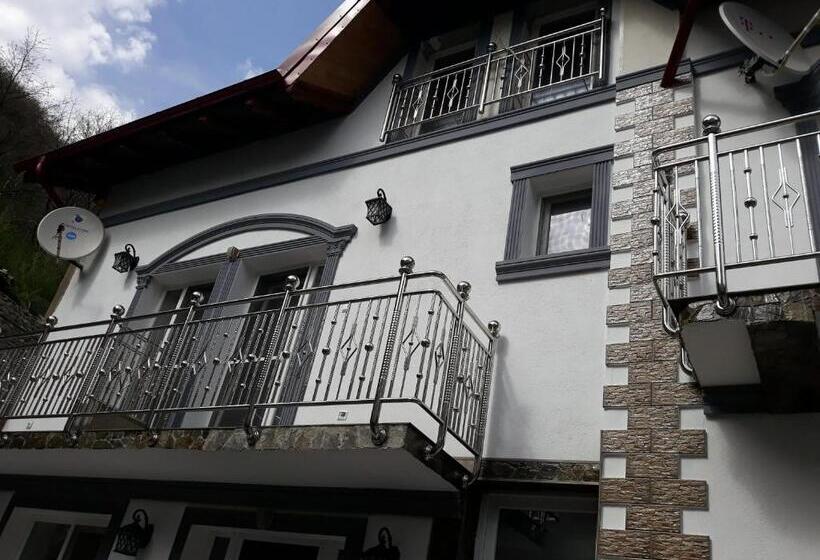 Пансион Casa Papava