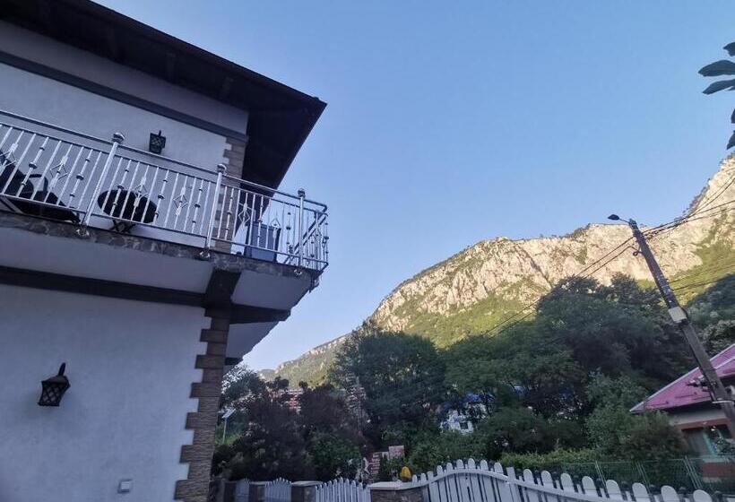 Пансион Casa Papava