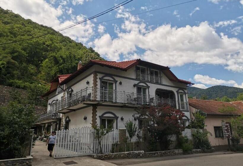Пансион Casa Papava