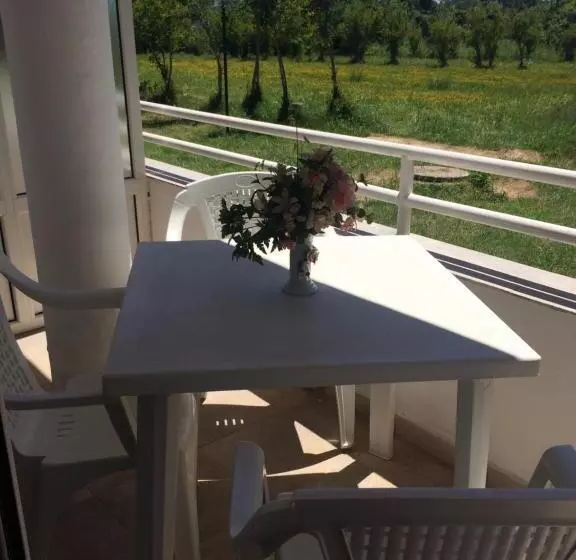 پانسیون Guest House Green Garden