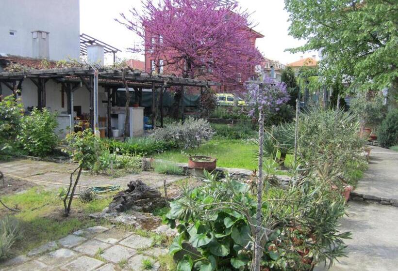 بنسيون Guesthouse Kolevi