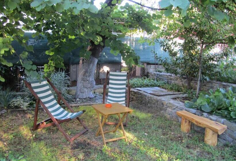 بنسيون Guesthouse Kolevi