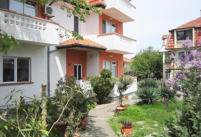 بنسيون Guesthouse Kolevi