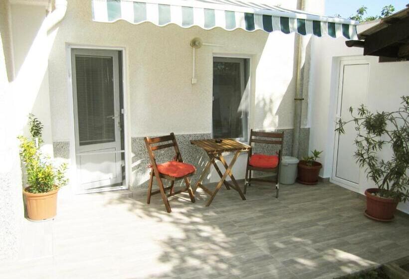 بنسيون Guesthouse Kolevi