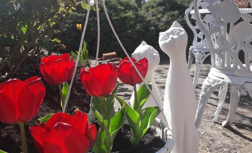 פנסיון Newlands Lodge