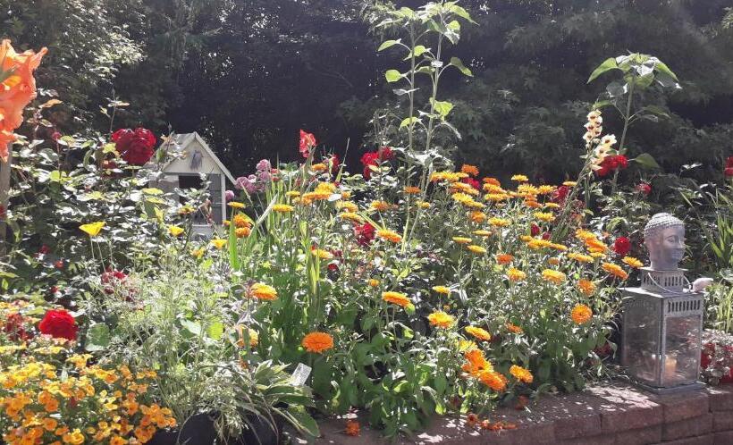 פנסיון Newlands Lodge