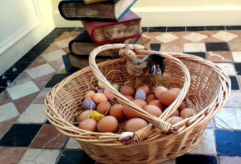 פנסיון Newlands Lodge