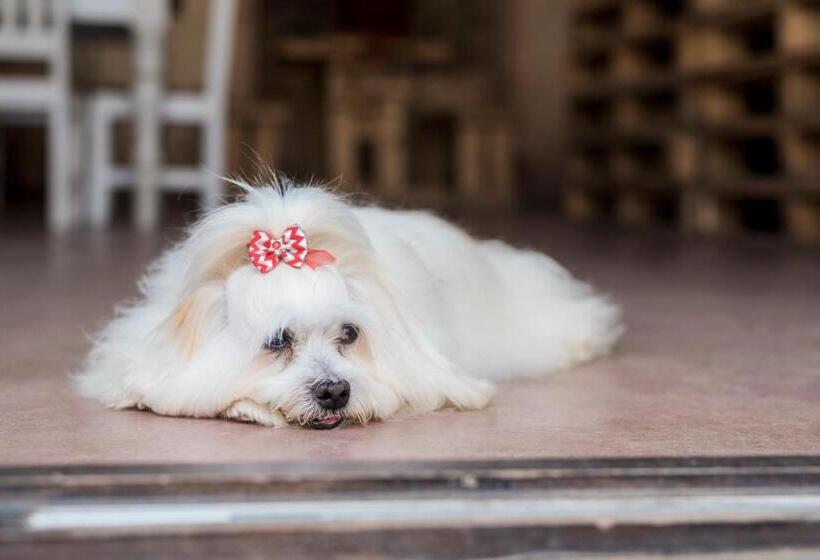 پانسیون Our Heritage Guesthouse