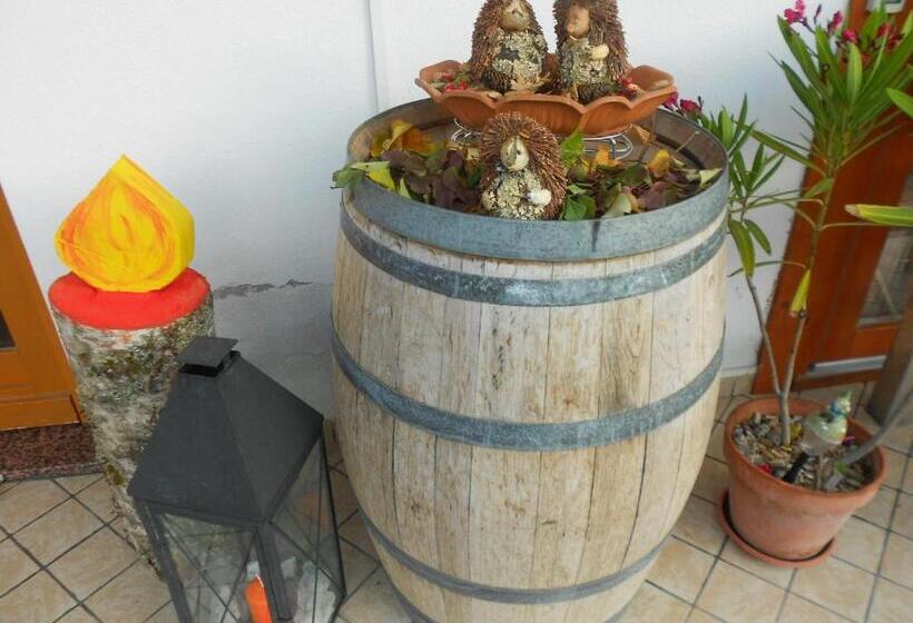 Bed and Breakfast Affittacamere Krajnc