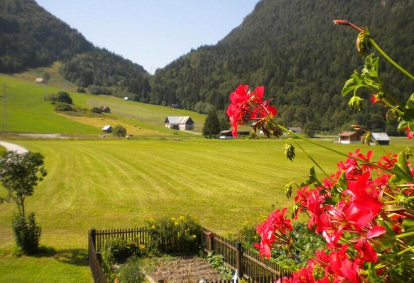 Bed and Breakfast Affittacamere Krajnc