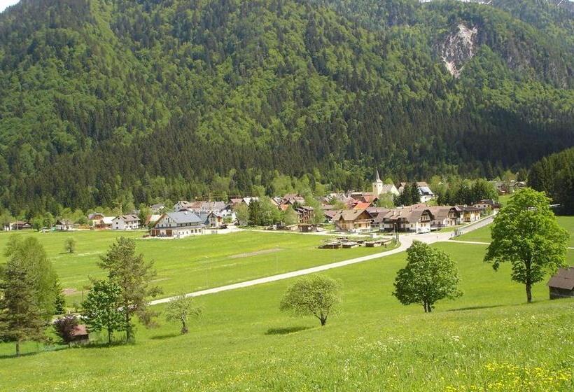 Bed and Breakfast Affittacamere Krajnc