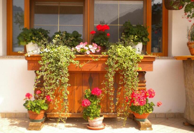 Bed and Breakfast Affittacamere Krajnc