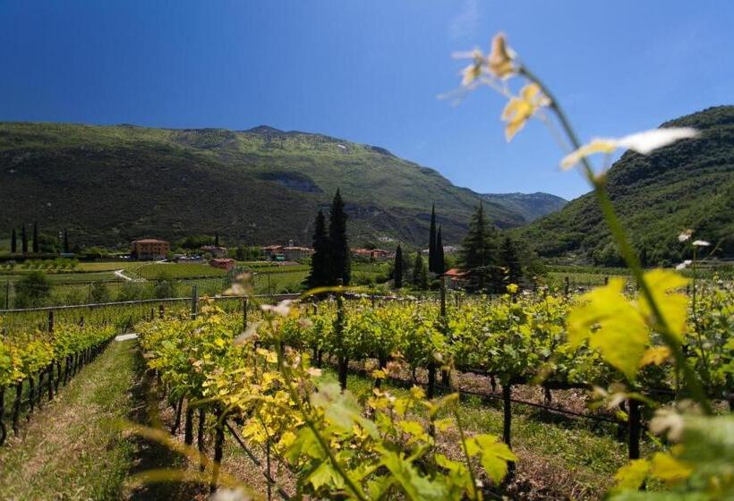 住宿加早餐  Agriturismo Maso Lizzone