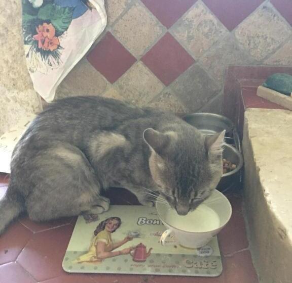 住宿加早餐  Le Mas Des Armouriers