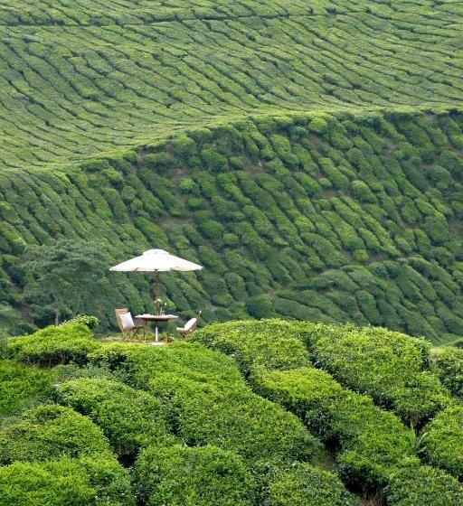 Cameron Highlands Resort   Small Luxury Hotels Of The World