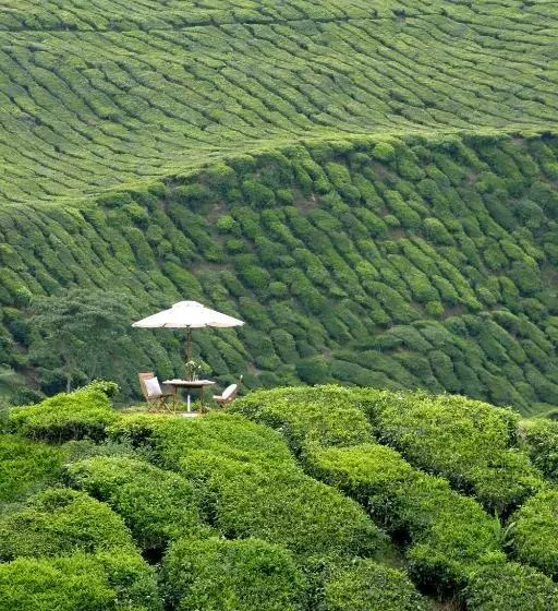Cameron Highlands Resort   Small Luxury Hotels Of The World