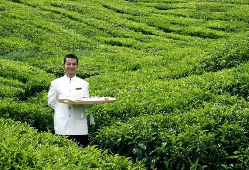 Cameron Highlands Resort   Small Luxury Hotels Of The World