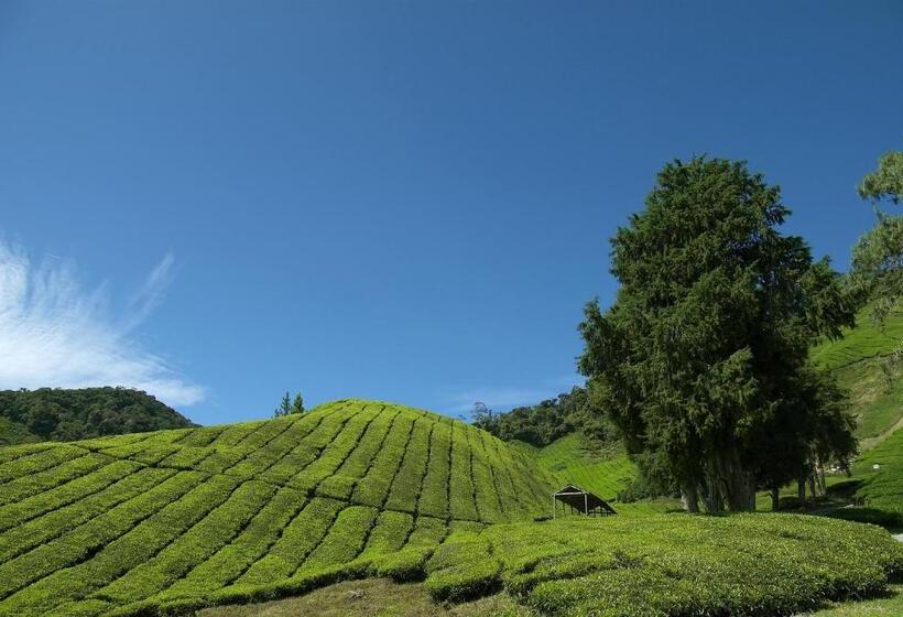 Cameron Highlands Resort   Small Luxury Hotels Of The World
