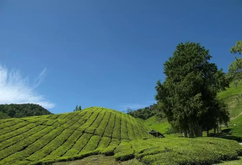 Cameron Highlands Resort   Small Luxury Hotels Of The World
