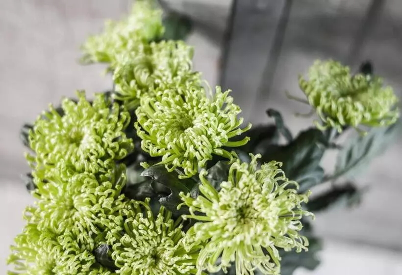 Fröken Hjorts Bed And Breakfast