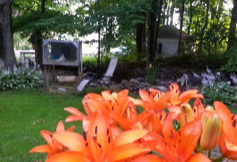 Kountry Living Bed And Breakfast