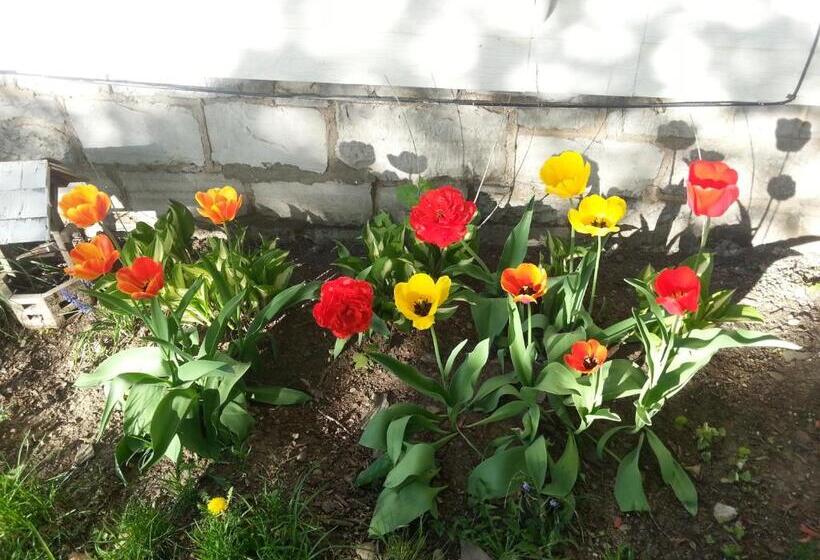 Kountry Living Bed And Breakfast