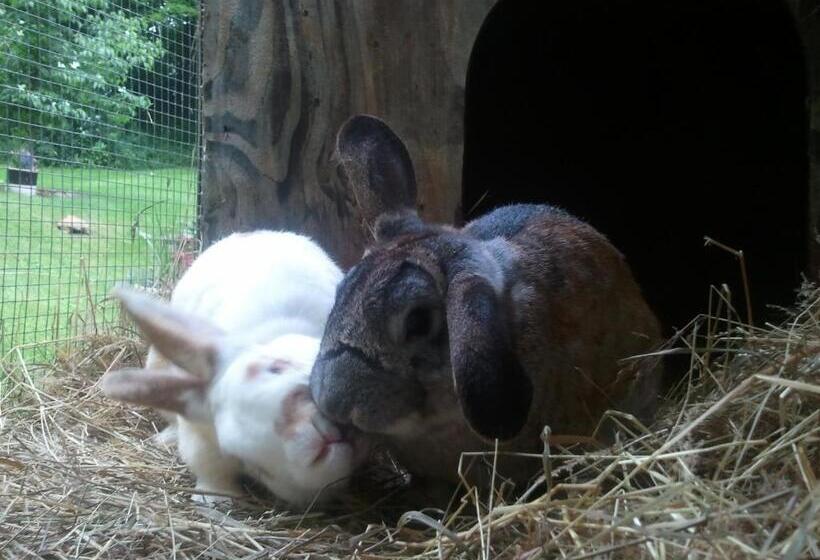 Kountry Living Bed And Breakfast